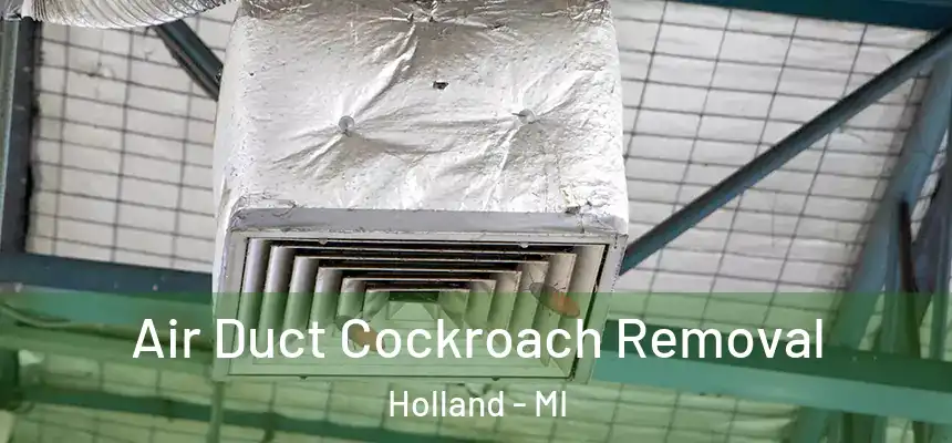 Air Duct Cockroach Removal Holland - MI