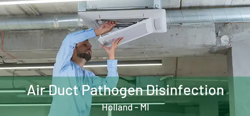  Air Duct Pathogen Disinfection Holland - MI