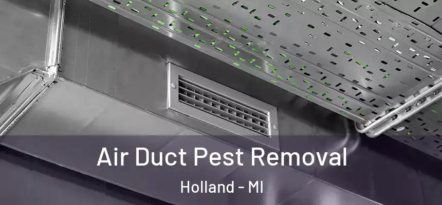 Air Duct Pest Removal Holland - MI
