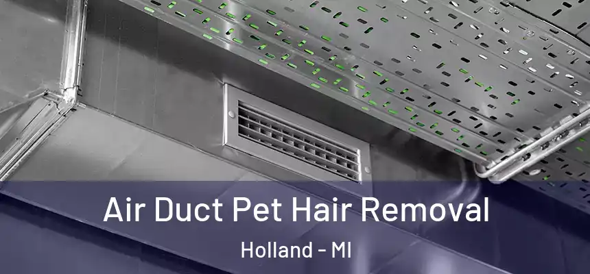  Air Duct Pet Hair Removal Holland - MI