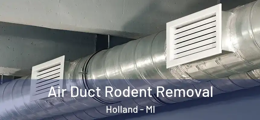 Air Duct Rodent Removal Holland - MI