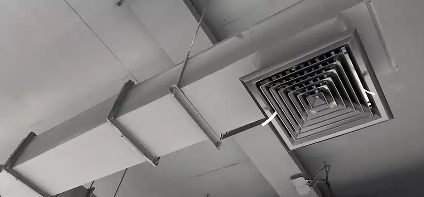 Our Rodent Droppings In Vents Services in Holland, MI