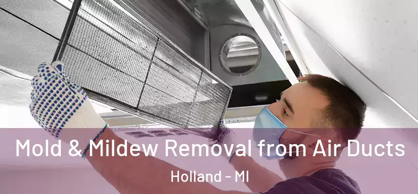 Mold & Mildew Removal from Air Ducts Holland - MI