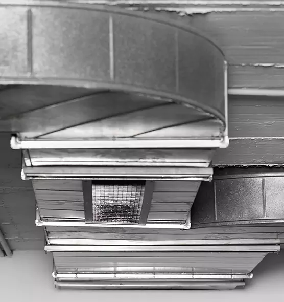 Professional Air Duct Pet Hair Removal in Holland, MI