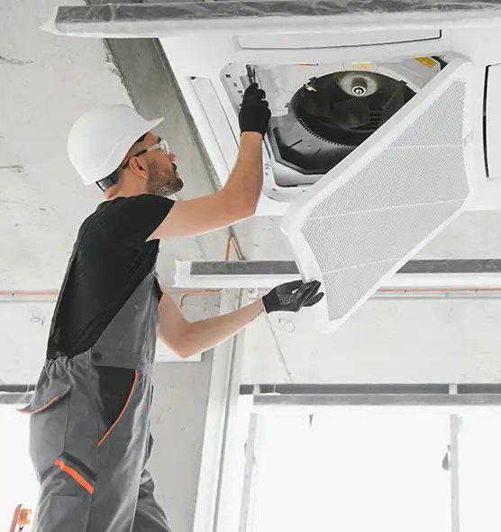 About Air Duct Rodent Removal in Holland, MI