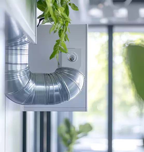 Professional Eco-Safe Dryer Vent Cleaning in Holland, MI