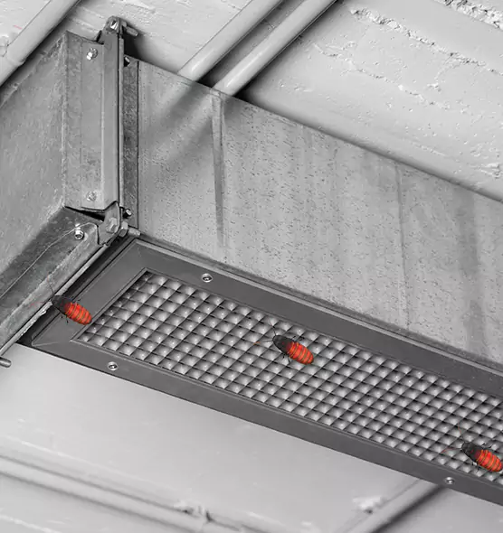 Affordable Insect Removal from Air Ducts in Holland, MI
