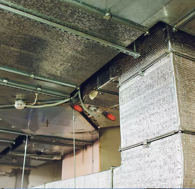 Why Homeowners & Businesses Trust Us Holland, MI?